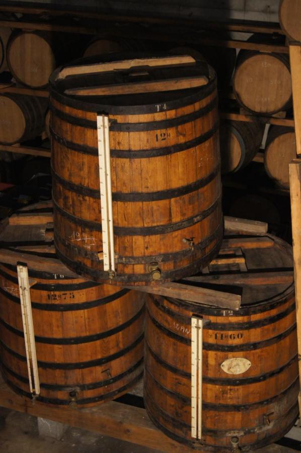 Chateau De Mons Armagnac Caussens ภายนอก รูปภาพ